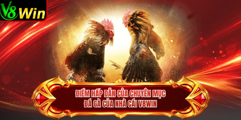 Điểm Hấp Dẫn Của Chuyên Mục Đá Gà Của Nhà Cái V8win